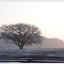 아침풍경 이미지