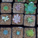 화원농장3 이미지