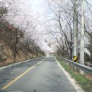 추동농장 이미지