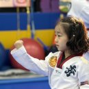 이글태권도장 이미지