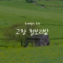 전북푸른학교 | [전북/고창]유채와 청보리밭을 한 눈에::고창 청보리밭 축제