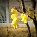 양지행정사 이미지