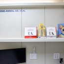 사송 동물 메디컬센터 이미지