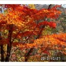 백봉령 농장 이미지