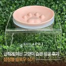 츄츄펫 CHUCHU PET | 참참볼 고양이 슬로우 식기ㅣ 급하게 먹는 습관 성공 후기