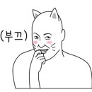 꽃단장 하개 이미지