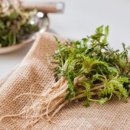 봄&봄 휘트니스 클럽 이미지