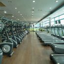 테마사우나 이미지