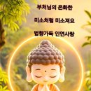 좋은세상 이미지