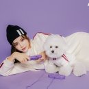 스타필드널디