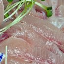 땡초김밥사천읍점 | 사천 방어회 홍이횟집물회 배달 내돈내산 후기