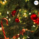 자이언트세탁소 이미지