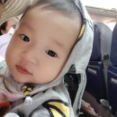 8개월아기랑 제주도 9일 살기/여행후기