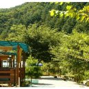 톰소여의 모험 이미지