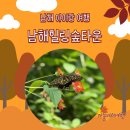대정읍 힐링타운 입구 | 남해 아이랑 여행 중 들린 남해힐링숲타운 나비생태공원 다자녀는 모든 게 무료