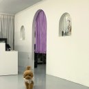 멍플랙스 이미지