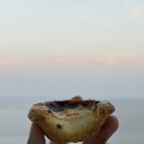 도리스 파티세리 | 속초 중앙시장 맛집 에그타르트 도리스 파티세리 후기