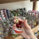 안세커피(Anse Coffee) | Seychelles) Day 3 :: 자전거로 그랑안세비치 가기(Grand anse), Mimis cafe, Glorious Bakery &amp; Snacks