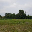 북면상동리 이미지