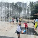 국가대표 곡정 태권도장 이미지