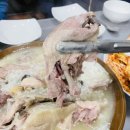 대전 오리백숙 맛집 장수촌 송촌중리점 몸보신최고