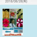 세븐일레븐 삼계점 이미지