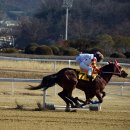 경마공원 이미지