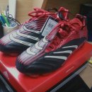 엡솔루트 이미지