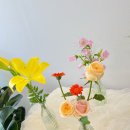 신월동177 이미지