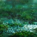 디에스(DS) 이미지