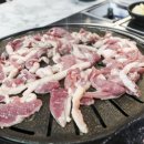 가평생오리 - 45633 | 가평생오리