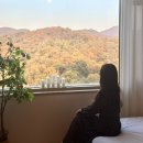 sunny house | 성남 에어비앤비 서현역숙소 sunny house 후기