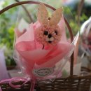 교동꽃화원 이미지