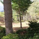 종명농장 이미지