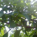 청운농장 이미지