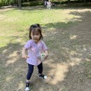🍁가을하늘반 5월 현장체험학습- 어린이교통공원과 숲1 이미지