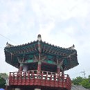 애견동반 가능한 구례펜션 &#39;지리산 로시난테하우스&#39; 피아골&amp;화개장터&amp;동정호