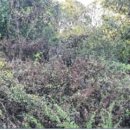 수두리경로당 이미지