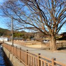 동촌농촌체험휴양마을 이미지