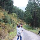 조봉초등학교 이미지