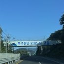 고흥 형제섬캠프타운｜오션뷰 하늘 2번 사이트 이용 후기