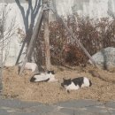 토대력(춘천점)