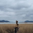 사초 해변공원 이미지