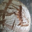 생생농장 이미지