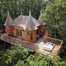 나무호텔 이미지