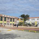 보성남초교+보성초교 이미지