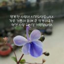 영광정육점 - 은평구 갈현로1길 24 | 영광정육점