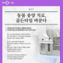 헬릭스동물메디컬센터 | [언론기사] 동물 종양 치료, 골든타임 바꾼다