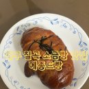 동평초등 | [빵 맛집] 대구 칠곡 메종드빵 소금빵 맛집 빵 추천, 명란 소금빵 솔직 후기|칠곡 빵지순례
