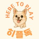 히플독 이미지